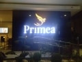 building sign - primea - lighted led signage