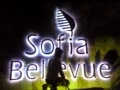 sofia_bellvue hotel signage|stainless sign |signage maker