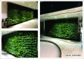 SEAPAC-PHILIPPINES Greenwall