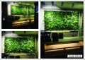 SOUND-DESIGN Greenwall