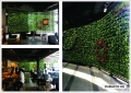 STARBUCKS-HQ Greenwall