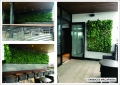 STARBUCKS-MACAPAGAL Greenwall