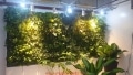 greenwall | vertical garden | indoor landscaping
