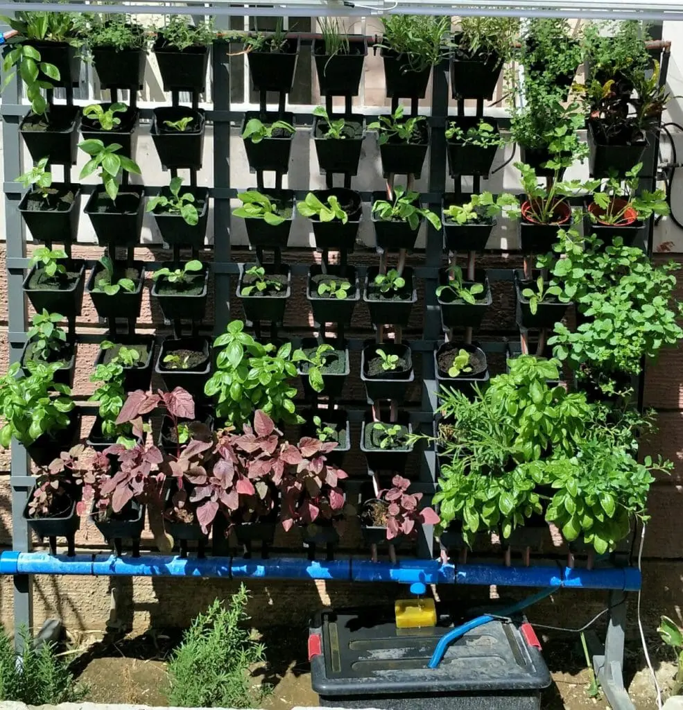 Vertical garden with acrylic plant signage in Quezon City, metal frame, pots, blue pipe and water container by M&G Global Ads.
