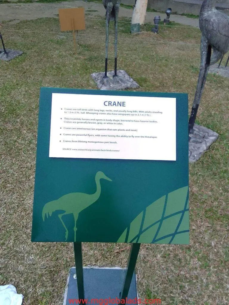 Metallic informational sign about cranes with silhouette and facts, placed on grass in Makati by M&G Global Ads.