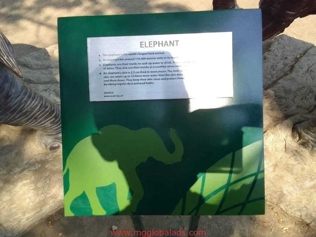 Green acrylic elephant information signage with elephant silhouette, sunlight, and trunk facts in Quezon City by M&G Global Ads.
