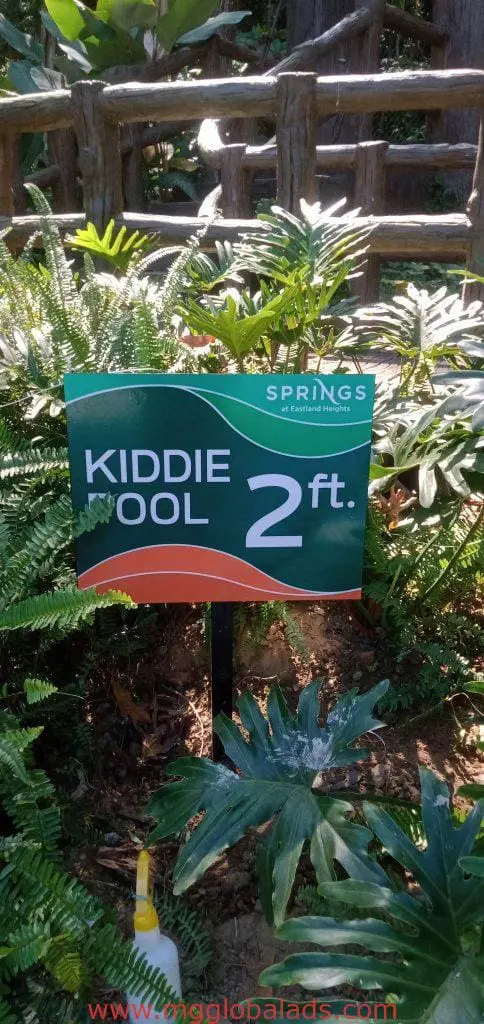 Outdoor kiddie pool sign among plants in Quezon City, reads KIDDIE OOL with SPRINGS, wood fence background by M&G Global Ads.