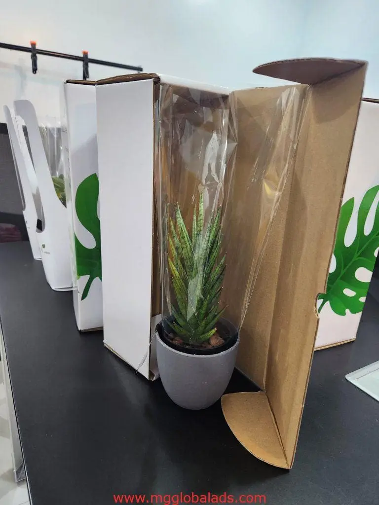 Acrylic signage display with potted succulent gifts in Makati, boxed with plastic covers, lined up by M&G Global Ads.