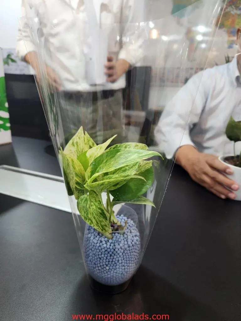 Greenwall and Moss Wall for client meeting spotted in Makati, with potted plant centerpiece by M&G Global Ads.