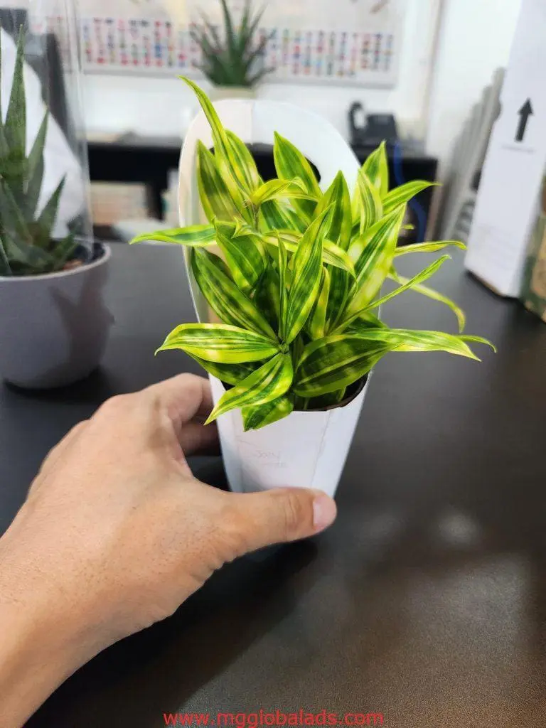 A hand holds a small potted plant on a table with metallic signage decor in Quezon City by M&G Global Ads.