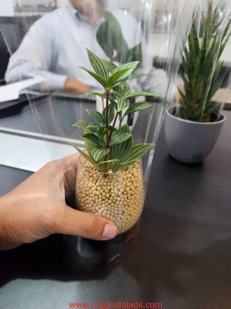 Custom metallic signage for office client, small potted plant in foreground, BGC location by M&G Global Ads.