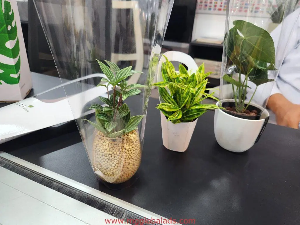 Three potted plants on black and white table with indoor acrylic signage reflection in Makati office by M&G Global Ads.