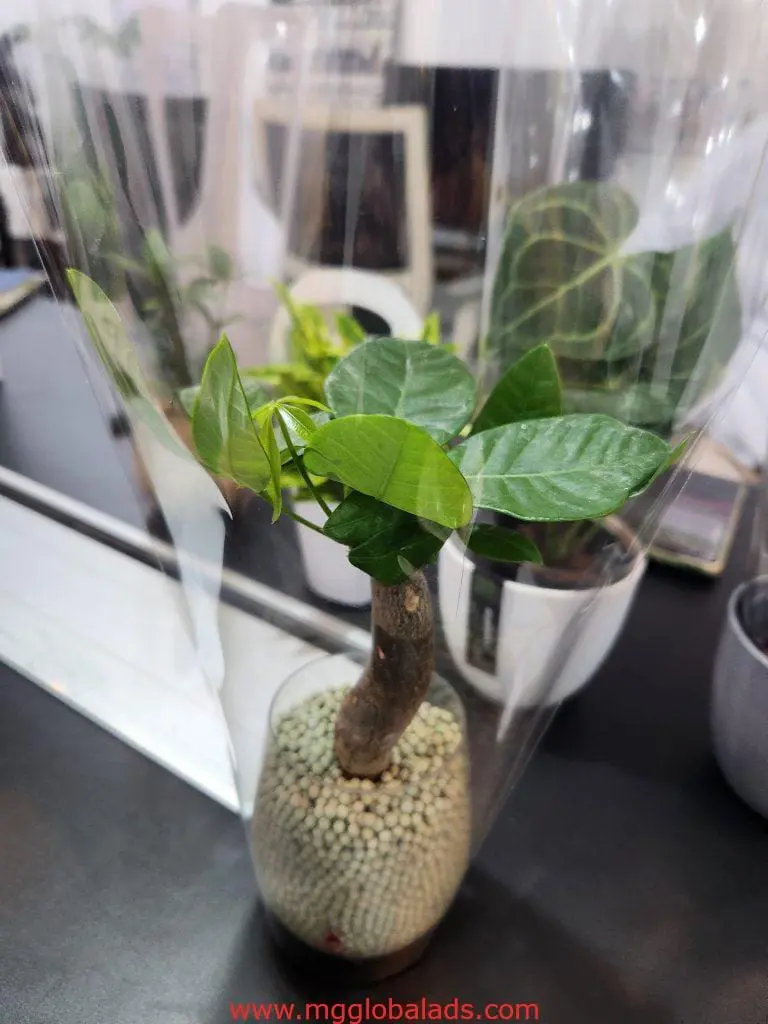 Metallic office signage with potted plant decor in Makati, other plants blurred in background, by M&G Global Ads.