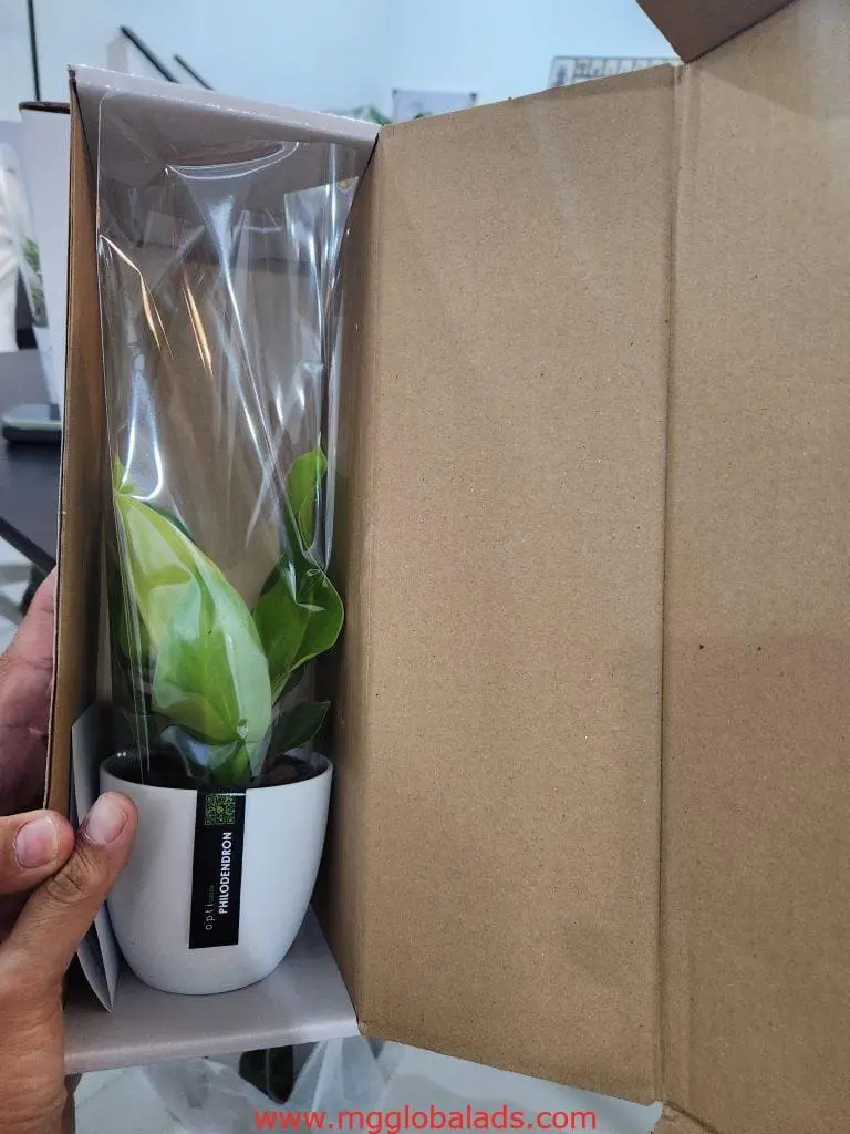 Modern acrylic signage with potted plant in box, indoor setting, Makati. Office decor by M&G Global Ads.