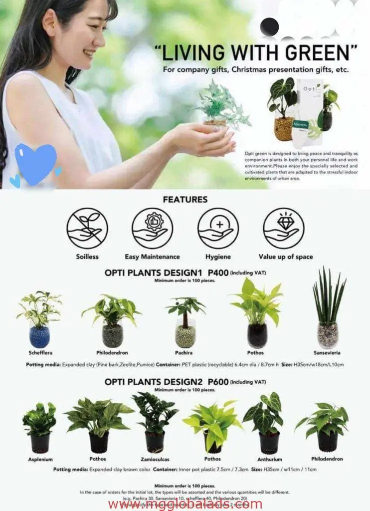 Smiling woman holds plant by LED and acrylic indoor signage Quezon City, featuring gift sets P400/P600 by M&G Global Ads.