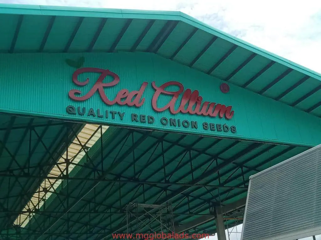 LED signage for Red Allium on teal roof in Quezon City, displaying QUALITY RED ONION SEEDS by M&G Global Ads.
