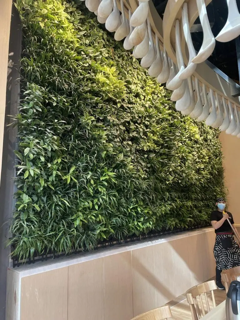Greenwall and Moss Wall in a modern Makati space with a vertical indoor garden wall, tables, chairs, and masked guest by M&G Global Ads.