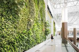 greenwall | vertical garden | living wall | 3