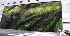 greenwall | vertical garden | living wall | 4