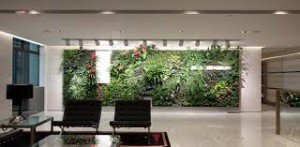 greenwall | vertical garden | living wall | 5