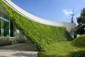 greenwall | vertical garden | living wall | 7