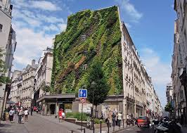 greenwall | vertical garden | living wall | 9