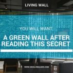 You Will Want a Green Walls After Reading This Secret