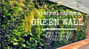 Vertical Gardens greenwall and How They’re Environment Friendly