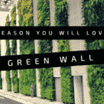 Reasons You Will Love A Greenwall or Vertical Garden