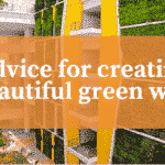 Advice for creating beautiful green wall