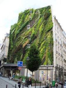 green walls