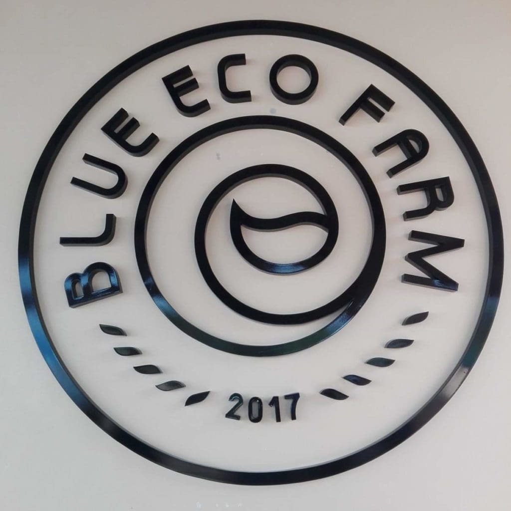 Custom metallic building signage for Blue Eco Farm, Quezon City, with leaf design accents by M&G Global Ads.