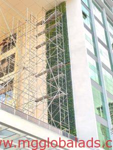 greenwall |vertical Garden | Bagong ospital ng maynila