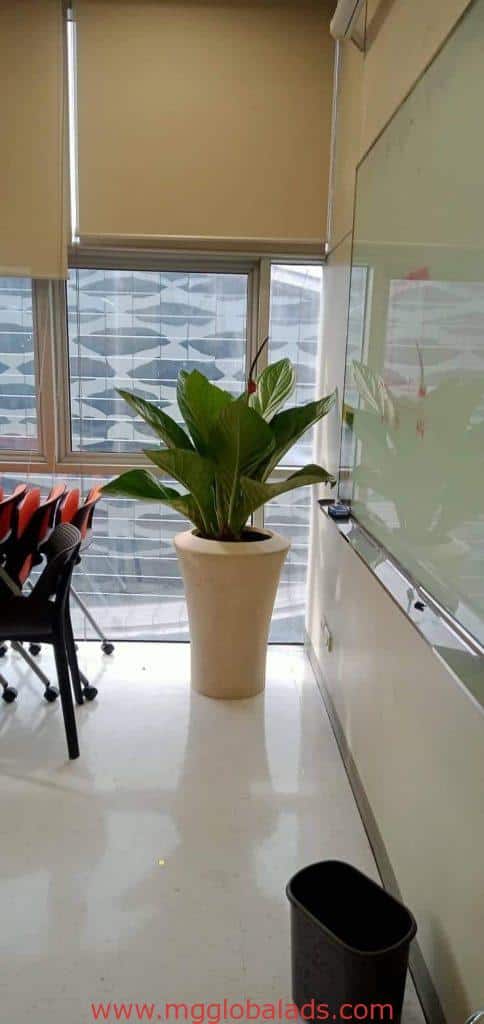 Acrylic signage display in Makati office with potted plant, chairs, whiteboard, and trash bin by M&G Global Ads.