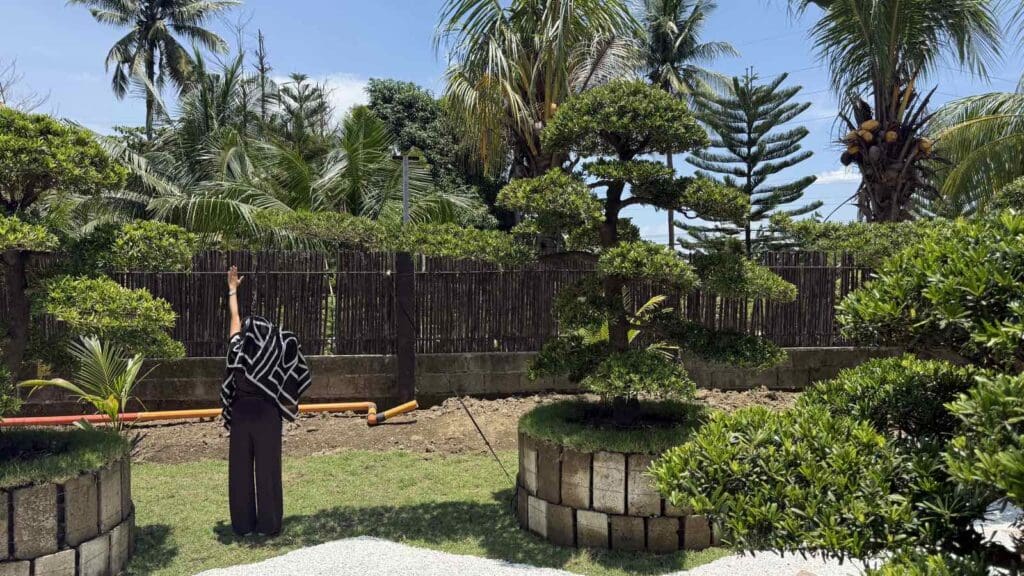 A person in a garden near manicured bonsai trees and palm trees,