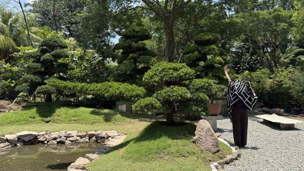 Bonsai Tree in a lush garden near trees and pond