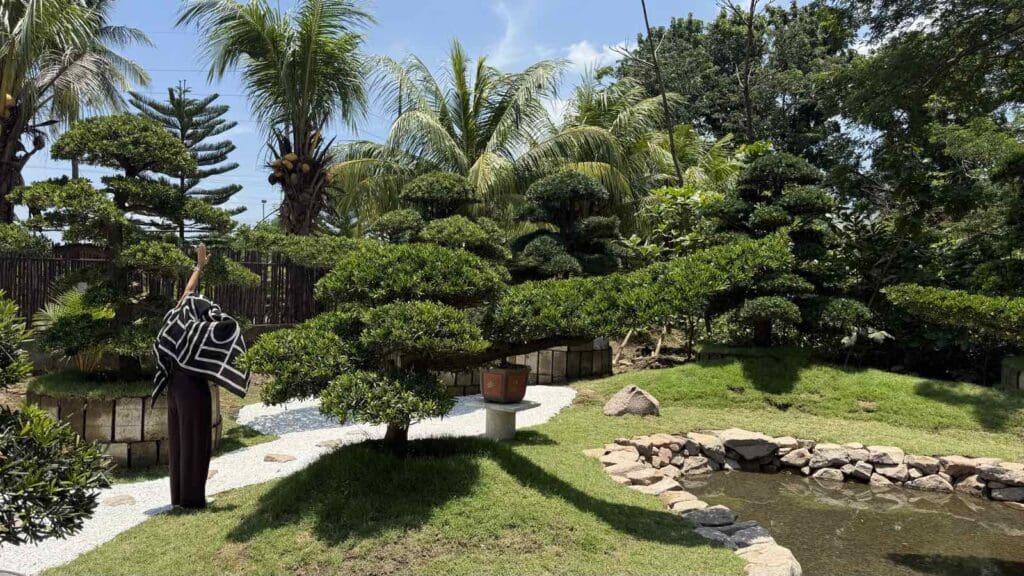 Bonsai treein lush Japanese-style garden